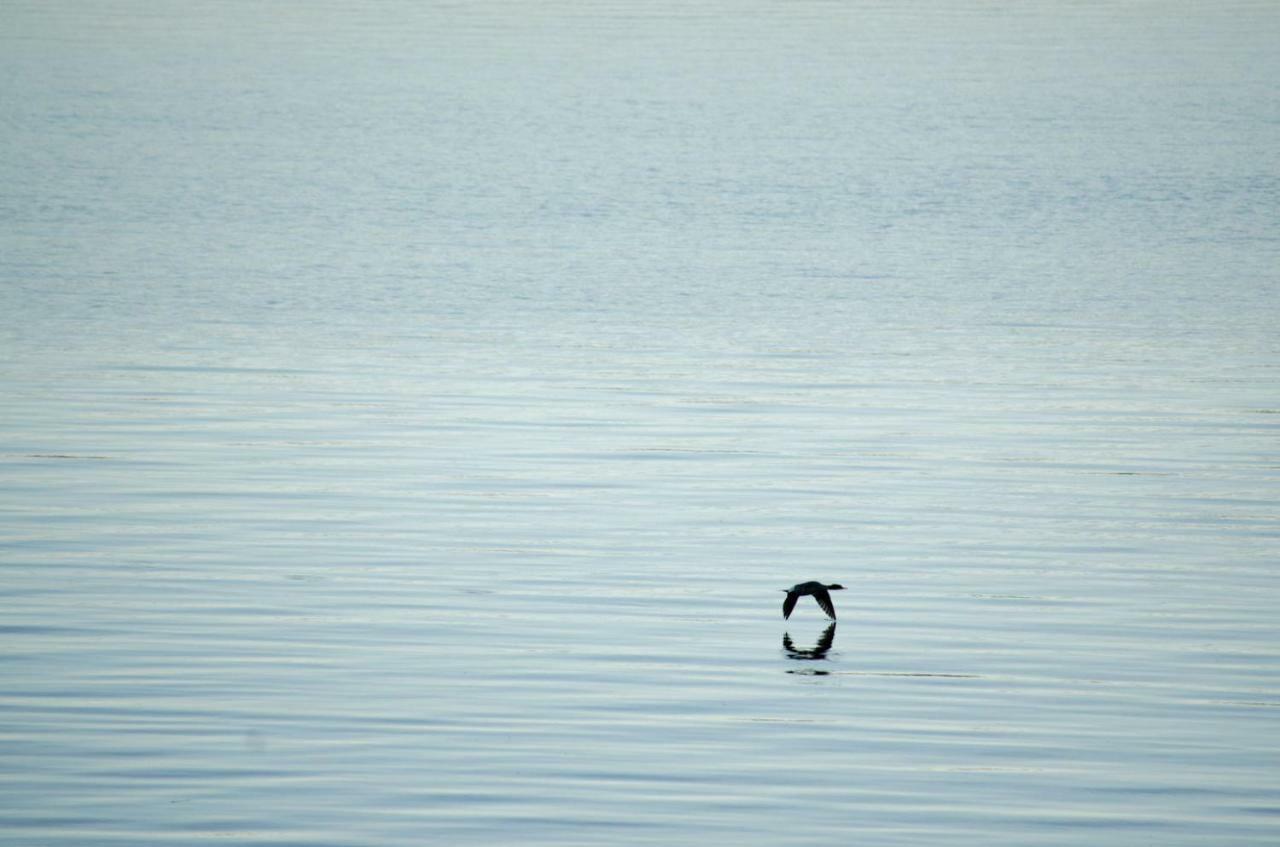Strandstuga Tämta Esterno foto